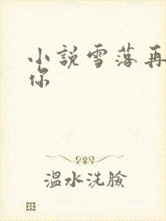 小说雪落再说爱你