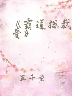 《霸道总裁轻轻爱》