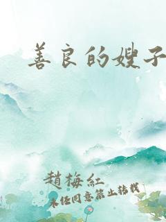 善良的嫂子高清