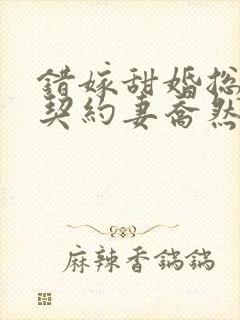 错嫁甜婚总裁的契约妻乔然