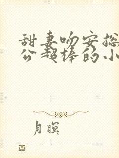 甜妻吻安总裁老公超棒的小说txt