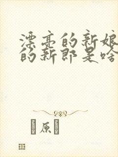 漂亮的新娘帅气的新郎是啥歌