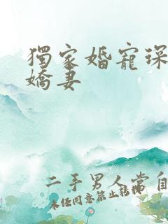 独家婚宠琛少的娇妻