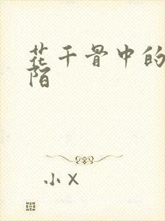 花千骨中的杀阡陌