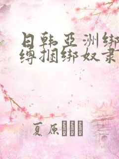 日韩亚洲绑架束缚捆绑奴隶调教视频