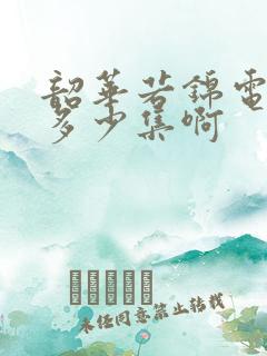 韶华若锦电视剧多少集啊