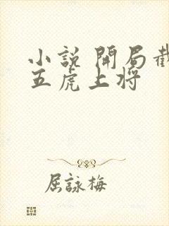 小说 开局截胡五虎上将