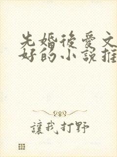 先婚后爱文笔超好的小说推荐