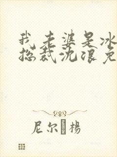 我老婆是冰山女总裁沈浪免费