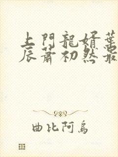 上门龙婿叶辰叶辰萧初然最新