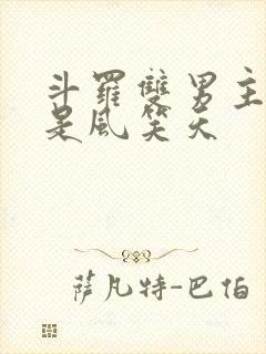 斗罗双男主cp是风笑天