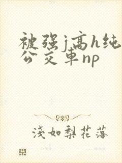 被强j高h纯肉公交车np