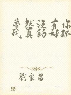 梦然没有你陪伴我真的好孤单