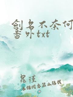 剑名不奈何完结番外txt