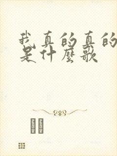 我真的真的爱你是什么歌