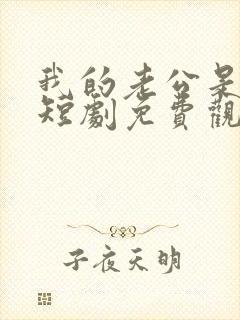 我的老公是总裁短剧免费观看全集