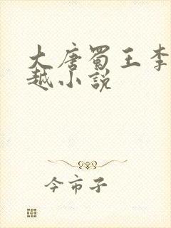 大唐蜀王李恪穿越小说