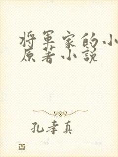 将军家的小儿子原著小说