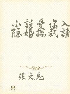 小说爱你入骨,隐婚总裁请签字未删减