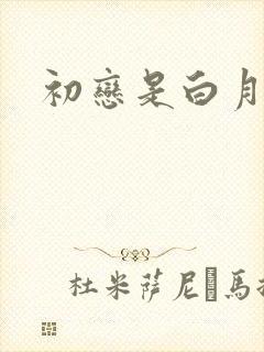 初恋是白月光吗