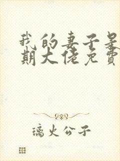 我的妻子是大乘期大佬免费