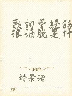 歌词曾经的我也很洒脱是什么歌