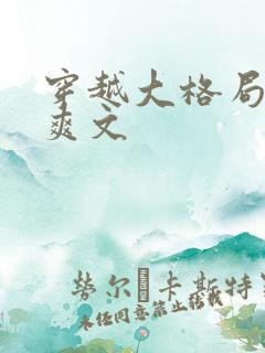 穿越大格局女主爽文