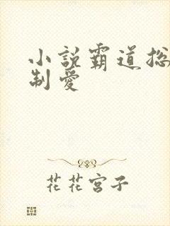 小说霸道总裁强制爱