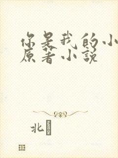 你是我的小确幸原著小说