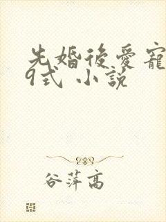 先婚后爱宠妻99式 小说