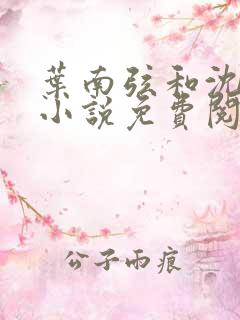 叶南弦和沈蔓歌小说免费阅读