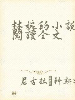 林婉的小说免费阅读全文