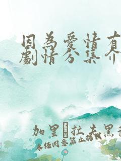 因为爱情有多美剧情分集介绍