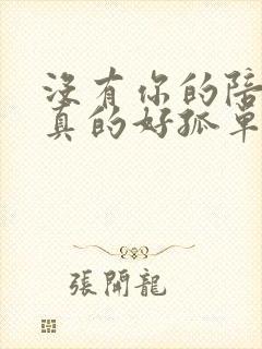 没有你的陪伴我真的好孤单歌词