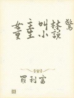 女主叫林惊澜的重生小说