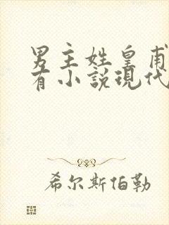 男主姓皇甫的所有小说现代言情