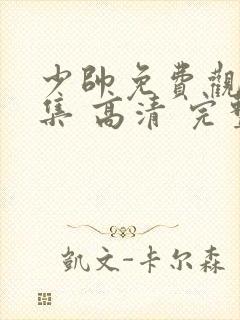 少帅免费观看全集 高清 完整