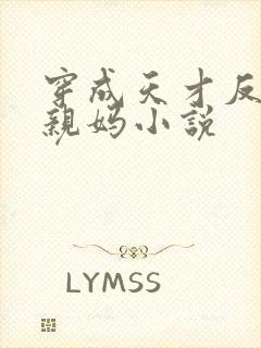 穿成天才反派的亲妈小说