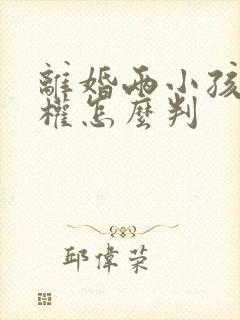 离婚两小孩抚养权怎么判