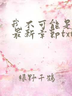 我不可能是剑神最新章节txt