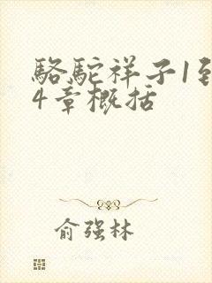 骆驼祥子1到24章概括