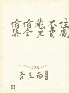 偷偷藏不住45集全免费剧情