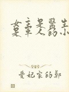 女主是医生男主是军人的小说