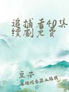 追捕者40集连续剧免费