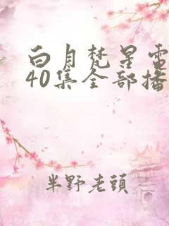 白月梵星电视剧40集全部播放