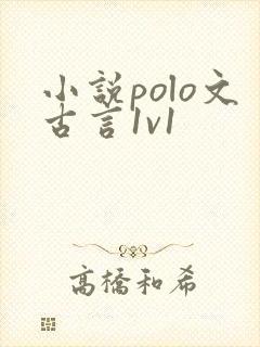 小说polo文古言1v1