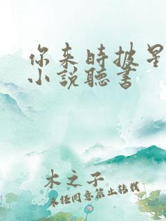 你来时披星戴月小说听书