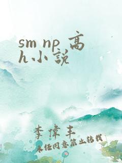 sm np 高h小说