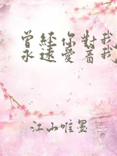 曾经你对我说你永远爱着我是什么歌