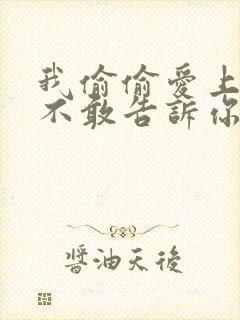 我偷偷爱上你却不敢告诉你是什么歌